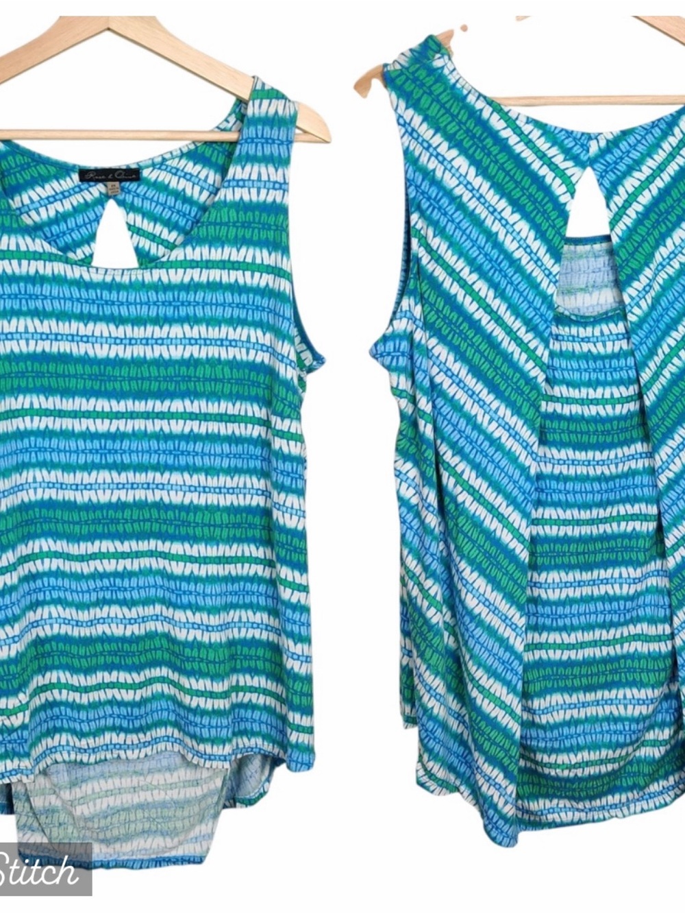 Rose & Olive Sleeveless Blue and Green Top, 2X